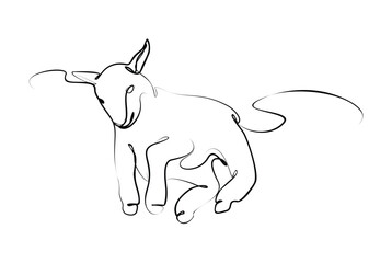 cute lamb jumps to play with the others on the farm