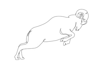 Sheep butting pose to defend its teritory