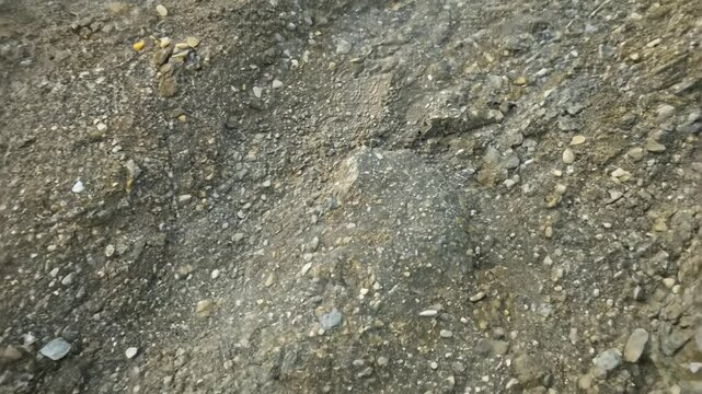Dolly natural light video into a sample of glacial till, a mix of rock fragments, sand, silt, and clay, the diverse particle sizes and origins are revealed
