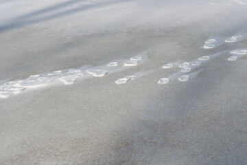 snow forms on snow covered grass