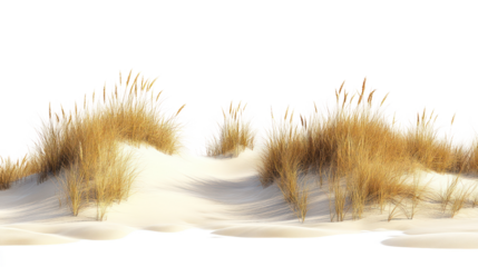 A serene view of golden grass swaying gently in the breeze, creating a peaceful atmosphere, perfect for nature lovers and outdoor enthusiasts.