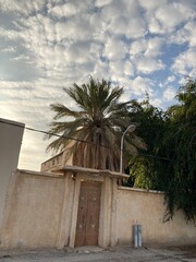 Qassim palm farms in the middle of Buraidah, Al-Sabbakh district, Saudi Arabia
