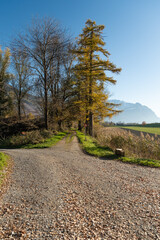 Majestic landscape on a sunny day in Schaan in Liechtenstein