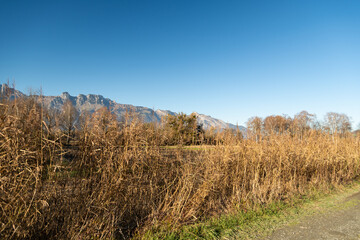 Fototapeta premium Majestic landscape on a sunny day in Schaan in Liechtenstein