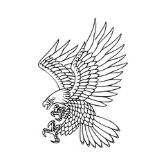 a detailed drawing of a eagle illustration
