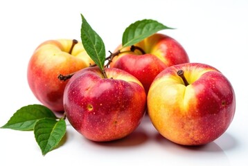 White Nectarine Path - Fresh & Juicy Fruit Image