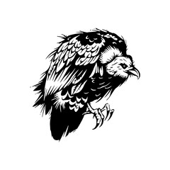 Obraz premium a detailed drawing silhouette of a eagle illustration