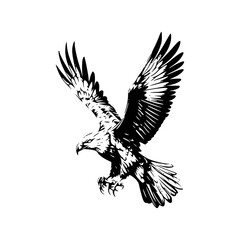 a detailed drawing silhouette of a eagle illustration