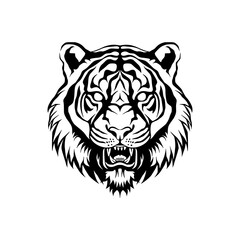 a drawing of a tiger head vector ilustration