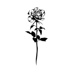 a drawing of a elegant silhouette rose 