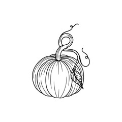 a drawing of a halloween pumpkin illustration
