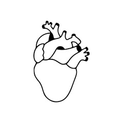 a line art drawing of a heart