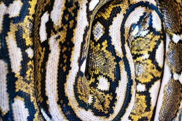A snake's skin is shown in a close up. The snake's skin is a mix of brown and white, with black spots. The snake's skin is curled up, giving it a unique and interesting appearance