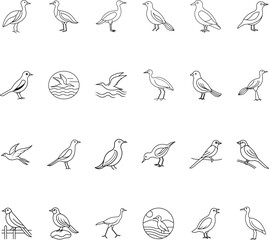 Diverse Bird Collection Line Art Illustrations of Coastal and Land Birds