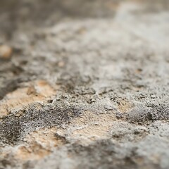 Close-up texture of weathered stone. Rough, grainy surface. Neutral tones.