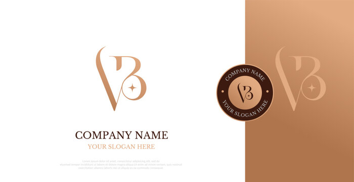 Initial VB Logo Design Vector Elegant 