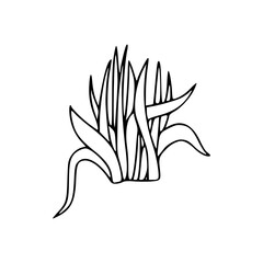 a line art drawing of a grass in cartoon style