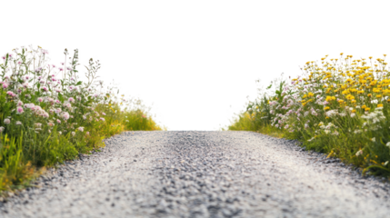 A scenic view of a winding gravel road flanked by colorful wildflowers, inviting exploration and evoking a sense of tranquility and nature's beauty.
