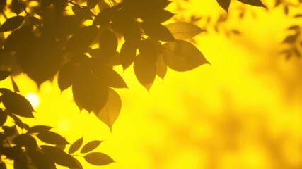 Obraz premium Silhouettes of leaves against a vibrant yellow backdrop, capturing the essence of a sunny day, where nature's beauty meets golden light.