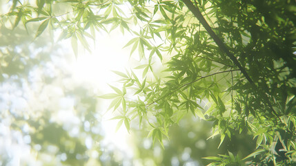 Naklejka premium Sunlit Green Leaves Nature Background Image