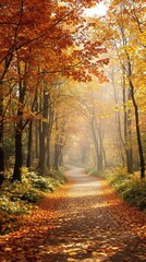 Blurred background of a forest path in autumn, tree bark, woodland scene, park landscape., seasonal change