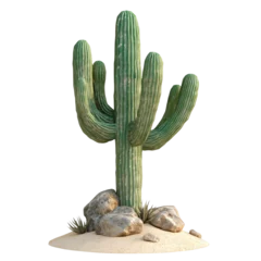 A large saguaro cactus stands tall in a desert setting with rocks and sand, a stark yet beautiful scene.