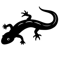 Obraz premium lizard on a white