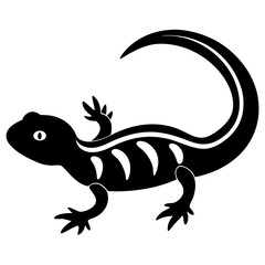 Fototapeta premium lizard on white