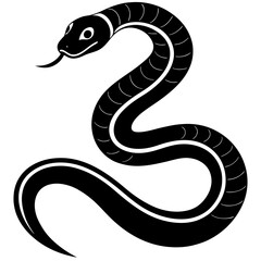 Fototapeta premium black and white snake