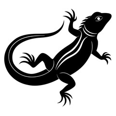 Obraz premium black and white lizard