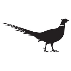 pheasant forest bird black silhouette icon , bird vector illustration
