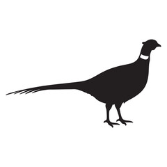 pheasant forest bird black silhouette icon , bird vector illustration