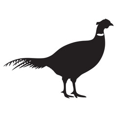 pheasant forest bird black silhouette icon , bird vector illustration