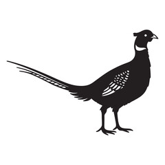 pheasant forest bird black silhouette icon , bird vector illustration