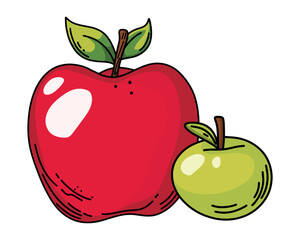 Apple isolated on white background, vector illustration