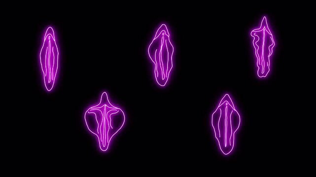 Set of neon sticker of a vulva line drawing. Beautiful depiction of the female reproductive system with alpha channel transparency