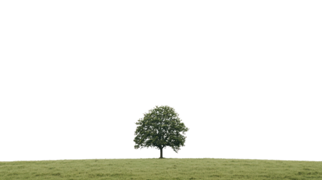 A solitary tree stands majestically in a vast green field, symbolizing growth and resilience amidst the open landscape. Nature's beauty in simplicity.