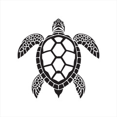 Obraz premium Sea Turtle Black and White Vector Illustration,Stylized Sea Turtle Design Artwork,Intricate Sea Turtle Vector Clipart