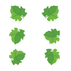 Autumn Harvest: Pumpkin Leaf Vector Illu