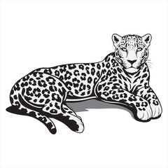 Adorable Tiger Cartoon Black and White Drawing,Black and White Cartoon Tiger for Kids Projects,Simple Tiger Line Art for Kids