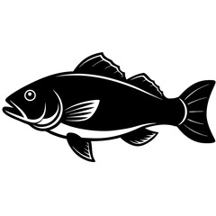 fish on a white background