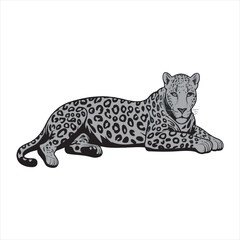 Adorable Tiger Cartoon Black and White Drawing,Black and White Cartoon Tiger for Kids Projects,Simple Tiger Line Art for Kids