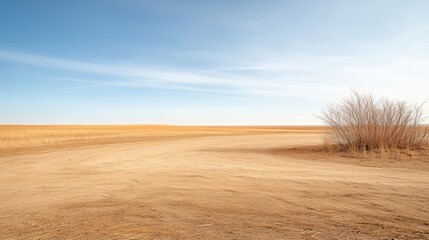 Fototapeta premium Arid landscape under a clear blue sky.