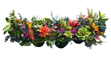 A vibrant and colorful arrangement of various succulent plants and flowers, showcasing the beauty and diversity of nature's palette.