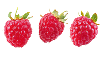 Raspberry transparent on white background.