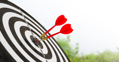 two arrows on target with blur background