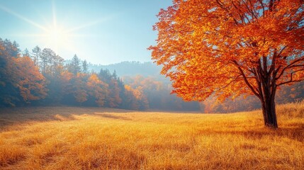 Vibrant Autumn Landscape with Golden Tree and Sunlit Field
