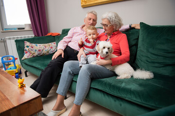 Grandparents with their young grandson and poodle dog sitting in the living room