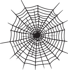 Obraz premium spider web vector