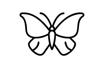 Butterfly Illustration on White Background